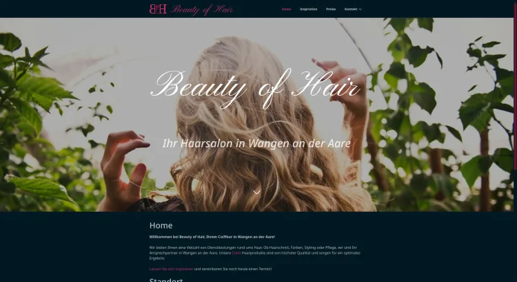 Screenshot Website