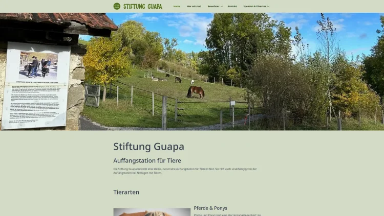 Screenshot Website
