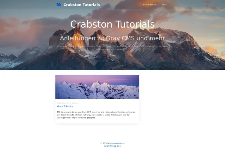 Screenshot Website